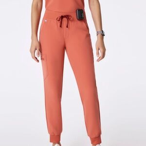 NWT Figs Zamora Jogger Scrub Pants in Spiced Cider